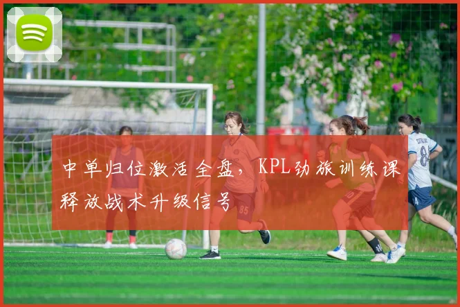 中单归位激活全盘，KPL劲旅训练课释放战术升级信号