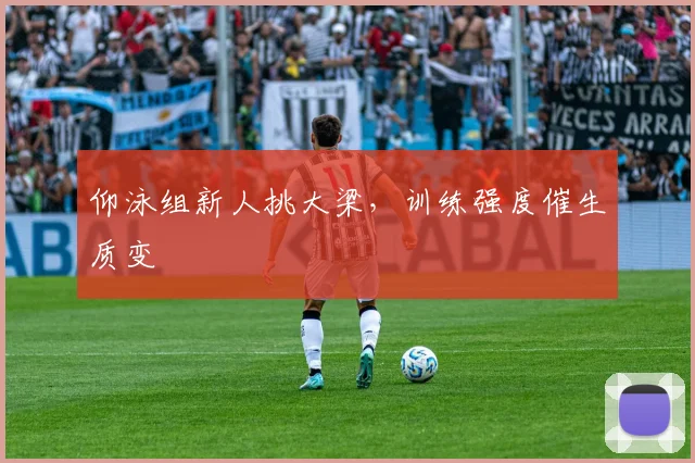 仰泳组新人挑大梁，训练强度催生质变