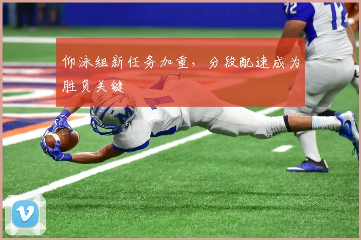 仰泳组新任务加重，分段配速成为胜负关键